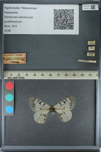 Media type: image;   Entomology 180119